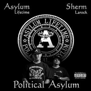 What is political asylum?