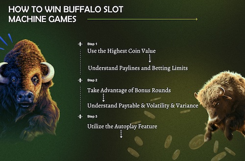 Buffalo Free Slots No Download