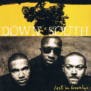 Down South :: Lost in Brooklyn :: Big Beat/Atlantic