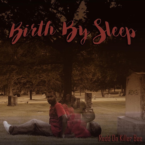 [Birth by Sleep]