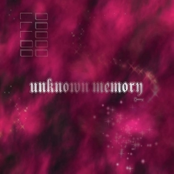 [Unknown Memory]