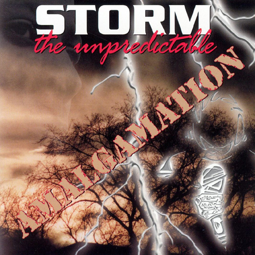 ヒップホップ+ラップ Storm The Unpredictable Storm the Unpredictable :: Amalgamation – RapReviews
