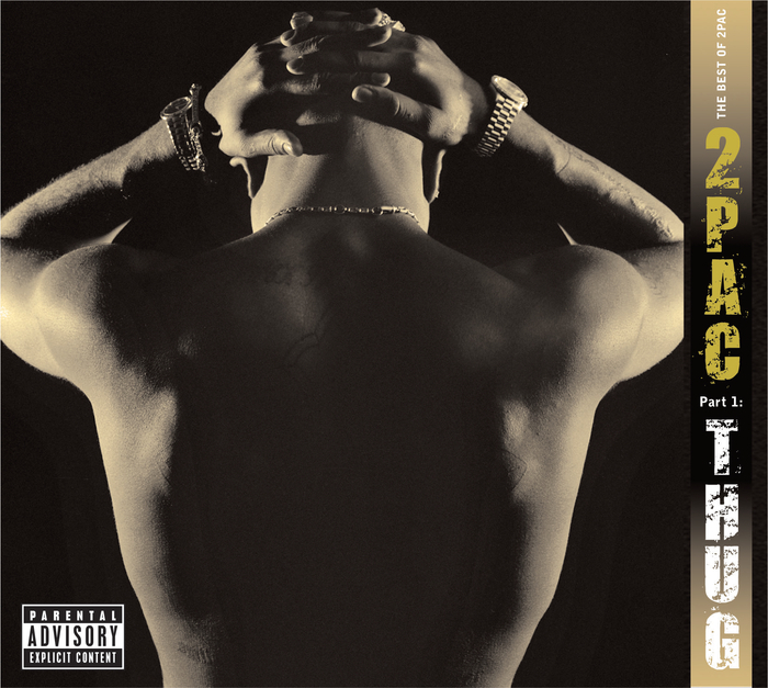 新品2Pac LIFE Part 2 & THUG Part 1 レコードセット 2Pac :: The Best of 2Pac & Part 1: Thug and Part 2: Life – RapReviews