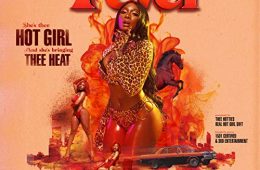 Megan Thee Stallion - Fever