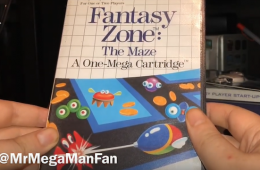 Fantasy Zone: The Maze