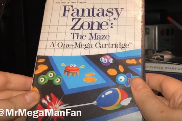 Fantasy Zone: The Maze