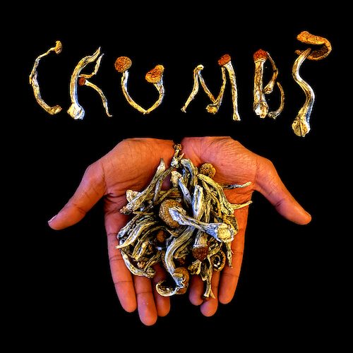 Crumbs