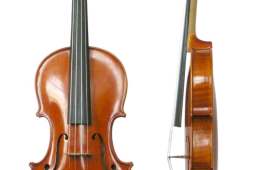 Violin