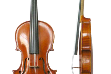 Violin