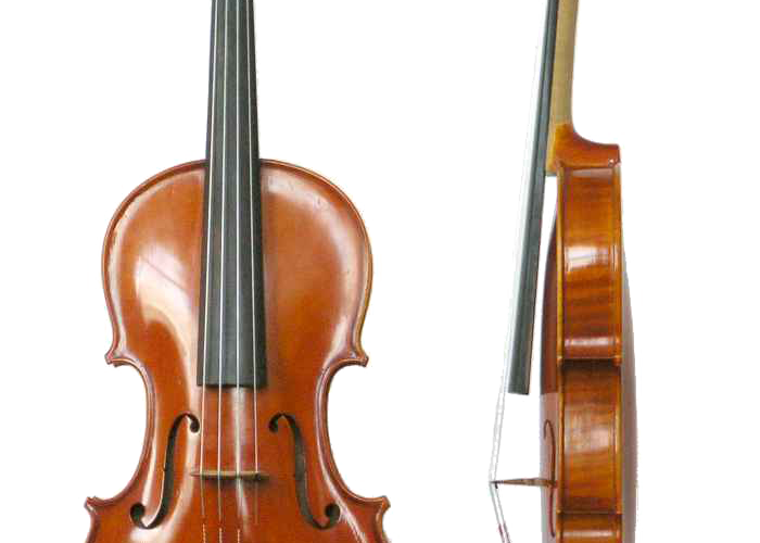 Violin