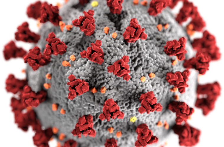 COVID-19 coronavirus