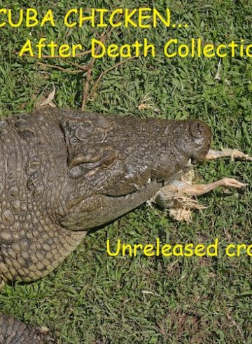 After Death Collection