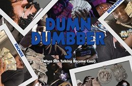 Dum N Dumbber 3