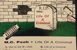 Life of a Criminal