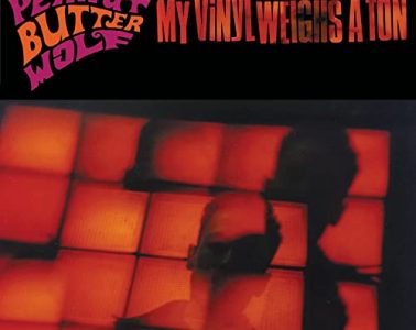 My Vinyl Weighs a Ton