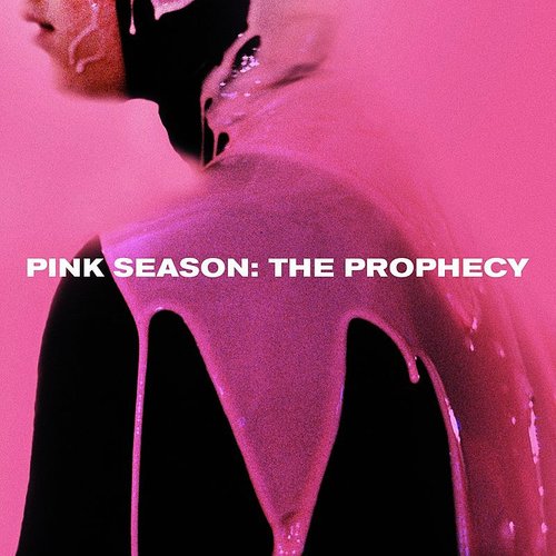 Pink Guy: The Prophecy