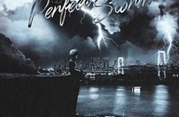 Perfect Storm