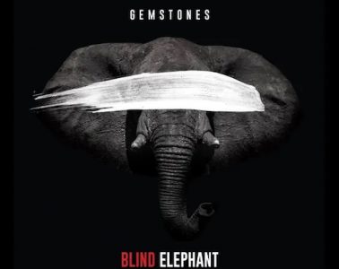Blind Elephant