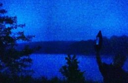 Squid Puppies Deluxe