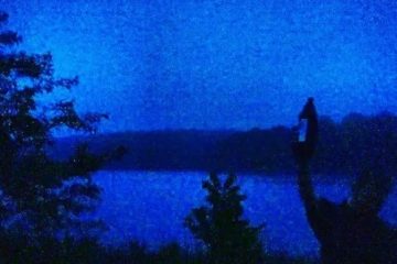 Squid Puppies Deluxe