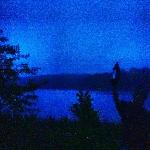 Squid Puppies Deluxe