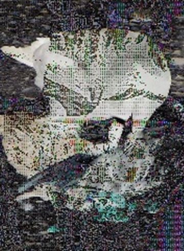 Death Grips