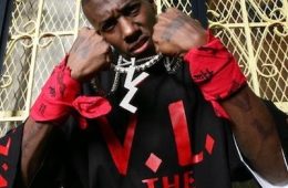 VL Mike