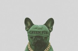 GREEN FUR