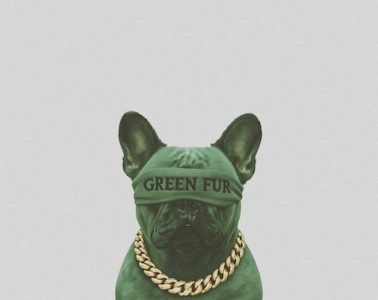 GREEN FUR